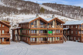Cozy Apartment close to Hovden alpine centre
